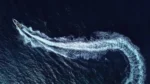HYDROHULLS RIB HH8 - Image 11